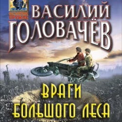 Враги большого леса Василий Головачев