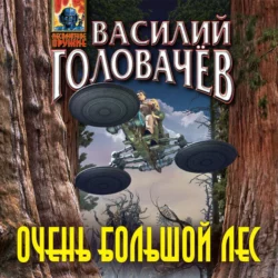 Очень большой лес, Василий Головачев