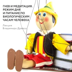 Гнев и медитация. Режим дня и питание по биологическим часам человека, Владимир Древс