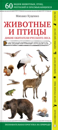 Животные и птицы. Дикие обитатели русского леса, Михаил Куценко