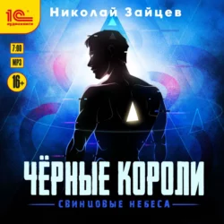 Чёрные короли. Свинцовые небеса, Николай Зайцев