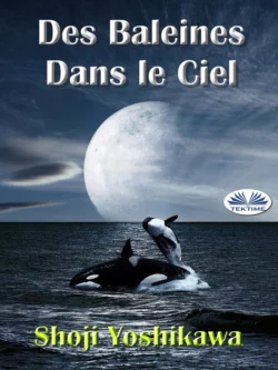 Des Baleines Dans Le Ciel, Shoji Yoshikawa