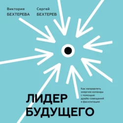 Лидер будущего. Как направлять энергию команды с помощью драйв-совещаний и фасилитации, Сергей Бехтерев