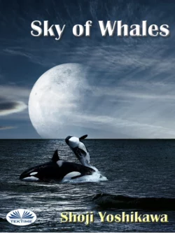 Sky Of Whales, Shoji Yoshikawa