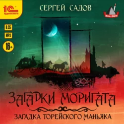 Загадка Торейского маньяка, Сергей Садов