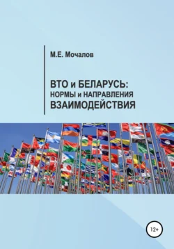 Вто и Беларусь: Нормы и направления взаимодействия, Максим Мочалов