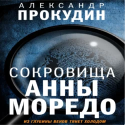 Сокровища Анны Моредо, Александр Прокудин