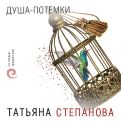 Душа-потемки, Татьяна Степанова