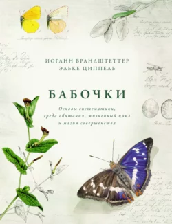 Бабочки. Основы систематики  среда обитания  жизненный цикл и магия совершенства Иоганн Брандштеттер и Эльке Циппель