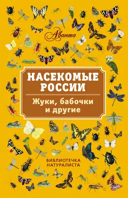 Насекомые России. Жуки, бабочки и другие, Владимир Горбатовский