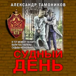 Судный день, Александр Тамоников