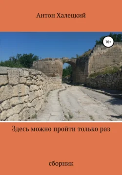 Здесь можно пройти только раз, Антон Халецкий