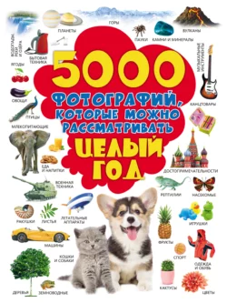 5000 фотографий, которые можно рассматривать целый год, Елена Хомич