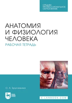 Анатомия и физиология человека. Рабочая тетрадь. Учебное пособие для СПО О. Брусникина