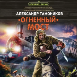 Огненный мост, Александр Тамоников