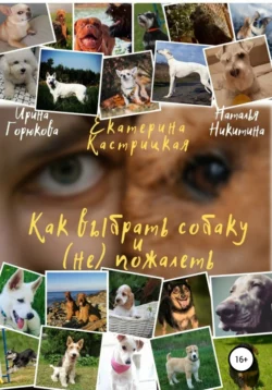 Как выбрать собаку и (не) пожалеть, Екатерина Кастрицкая