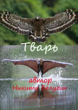 Тварь, Никита Белугин