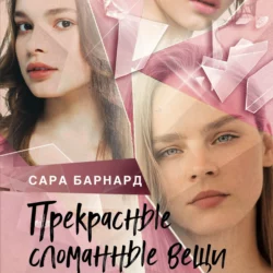 Прекрасные сломанные вещи Сара Барнард