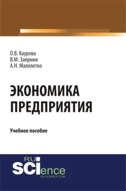 Экономика предприятия. (Бакалавриат). Учебное пособие., Ольга Каурова