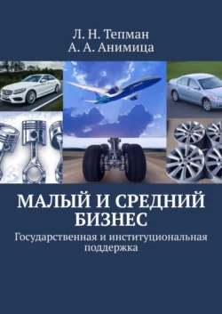 Малый и средний бизнес. Государственная и институциональная поддержка, Л. Тепман