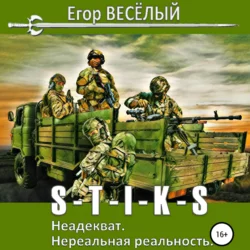 S-T-I-K-S. Неадекват. Нереальная реальность, Егор Веселый