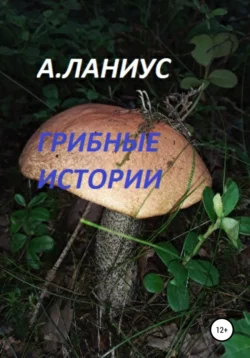 Грибные истории, Ланиус Андрей