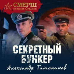 Секретный бункер, Александр Тамоников