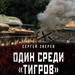 Один среди «тигров», Сергей Зверев