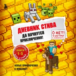 Да начнутся приключения! Книги 1-5 Minecraft Family