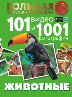 Животные. 101 видео и 1001 фотография Елена Хомич и Любовь Вайткене