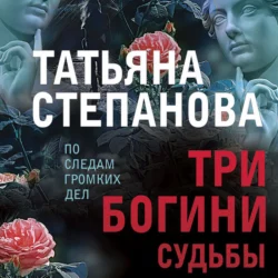 Три богини судьбы, Татьяна Степанова