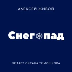 Снегопад, Алексей Живой