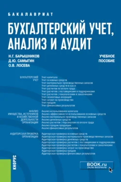 Бухгалтерский учет  анализ и аудит. (Бакалавриат). Учебное пособие. Денис Самыгин и Николай Барышников