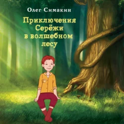 Приключения Серёжи в волшебном лесу, Олег Симакин