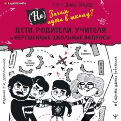 (Не) Зачем идти в школу? Дети, родители, учителя и нерешенные школьные вопросы, Дима Зицер