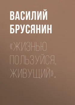 «Жизнью пользуйся, живущий»…, Василий Брусянин