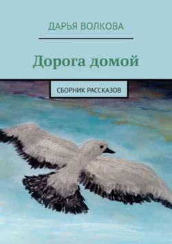 Дорога домой. Сборник рассказов, Дарья Волкова