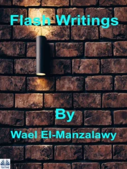 Flash Writings Wael El-Manzalawy