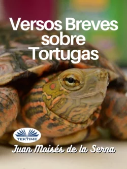 Versos Breves Sobre Tortugas Juan Moisés De La Serna