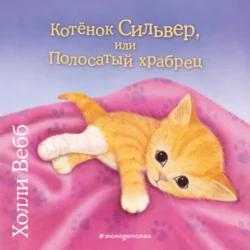 Котёнок Сильвер, или Полосатый храбрец, Холли Вебб