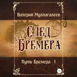 След Бремера, Валерий Муллагалеев