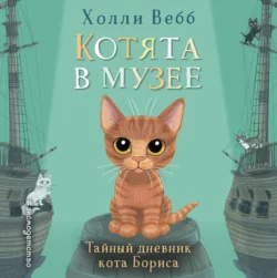 Тайный дневник кота Бориса, Холли Вебб