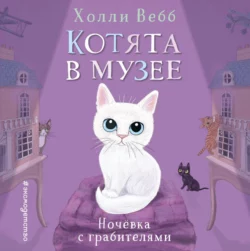 Ночёвка с грабителями, Холли Вебб