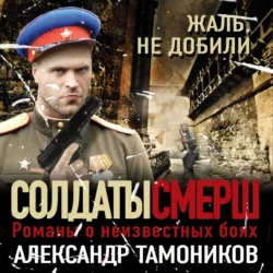 Жаль, не добили, Александр Тамоников