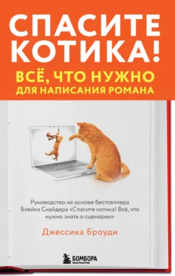 Спасите котика! Всё, что нужно для написания романа, Джессика Броуди