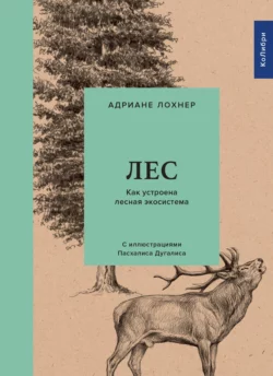 Лес. Как устроена лесная экосистема, Адриане Лохнер