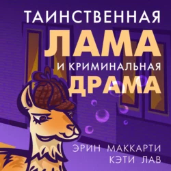 Таинственная лама и криминальная драма, Эрин Маккарти