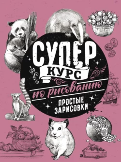 Суперкурс по рисованию. Простые зарисовки, Мистер Грей