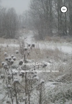 Неспящие. Беспокойная зима Андрей Соколов