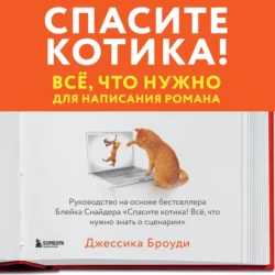 Спасите котика! Всё, что нужно для написания романа, Джессика Броуди